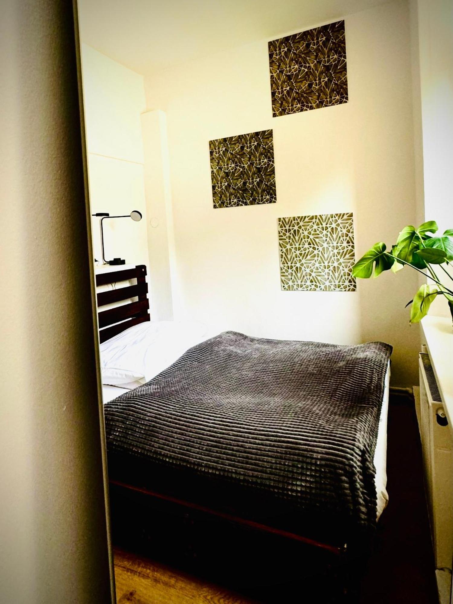 Cristal Apartament Krynica - Zdroj Bagian luar foto