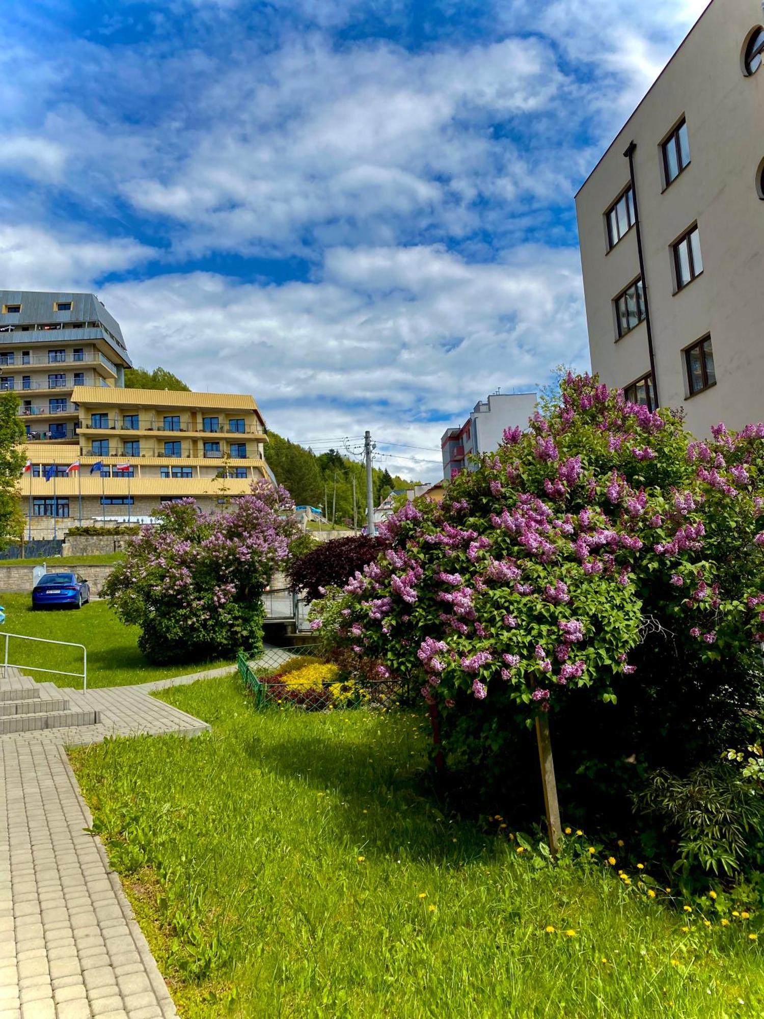 Cristal Apartament Krynica - Zdroj Bagian luar foto